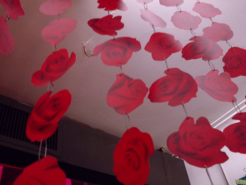 Red roses hanging from the ceiling in an apartment room.