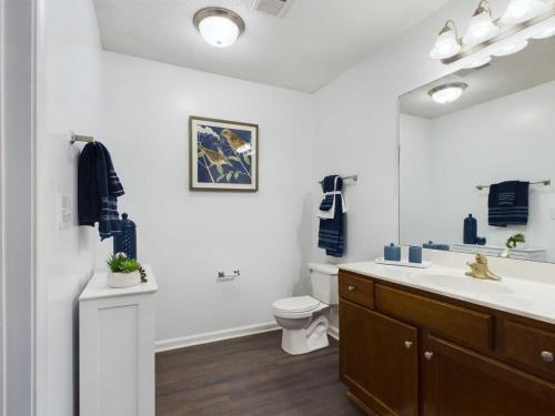 Apartments in Fayetteville, North Carolina A modern bathroom with dark wood cabinets, a white sink, toilet, dark blue towels, a framed bird picture on the wall, and a light fixture above the mirror.